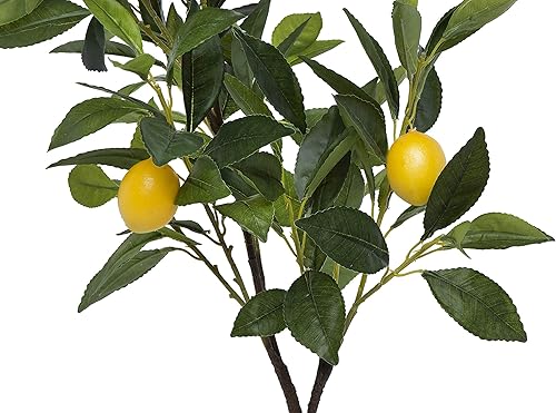 Miniatura 5 de Creative Co-op DF0921 Limonero en maceta de cemento botánico sintético, verde