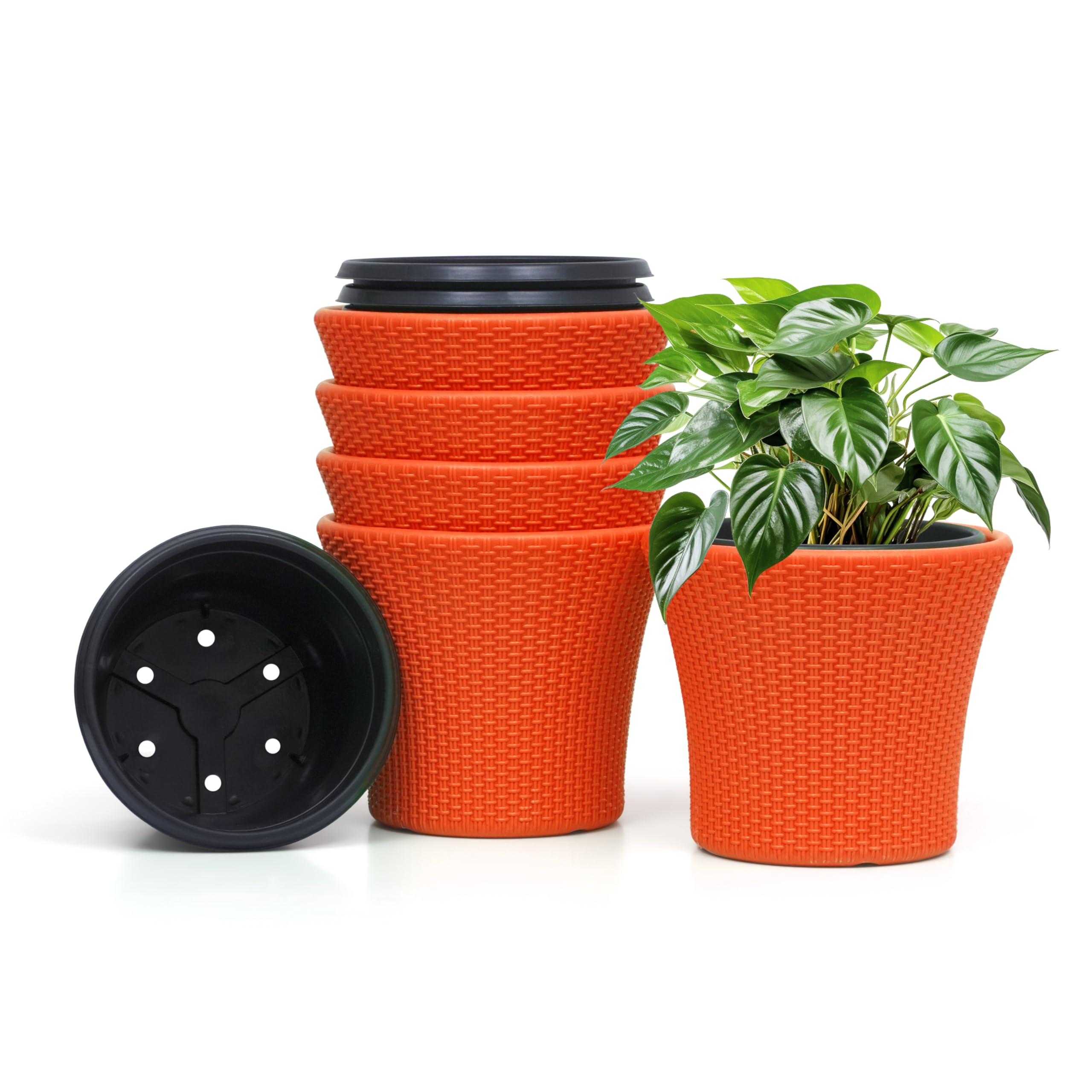 See full amazon price history chart for Livzing 9 Inch Self Watering Pot-Plastic Flower Pot-Gamla Planter Pot-Modern Decorative Planter Perfect for Indoor-Outdoor-Balcony-Garden-Living Room-Home-Orange(Pack of 5) Livzing 9 Inch Self Watering Pot-Plastic Flower Pot-Gamla Planter Pot-Modern Decorative Planter Perfect for Indoor-Outdoor-Balcony-Garden-Living Room-Home-Orange(Pack of 5) (B0CY28Y1GR) Amazon Price History, Amazon Price Tracker