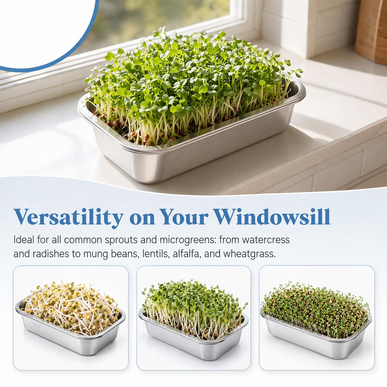 iFCOW Kit de germinación, 2 unidades de rejilla de acero inoxidable para cultivadores de plantas de microgreens para el cultivo de frijoles Mung, alfalfa, hierba de trigo, plantas de interior