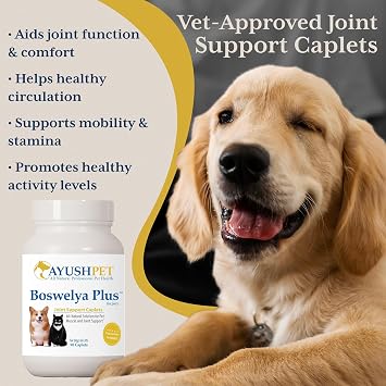 Ayush Pet Boswelya Plus, Boswellia for Dogs, 90 Servings