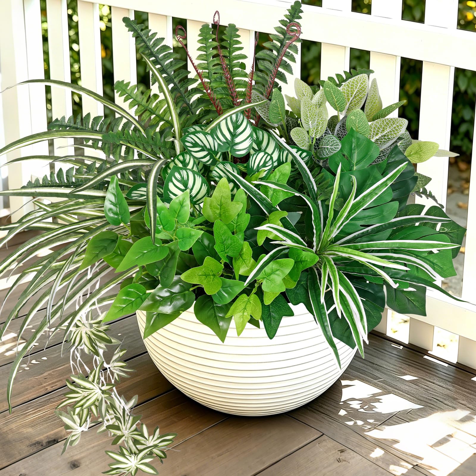 monstera deliciosa panaschiert Monstera Super White main image 1