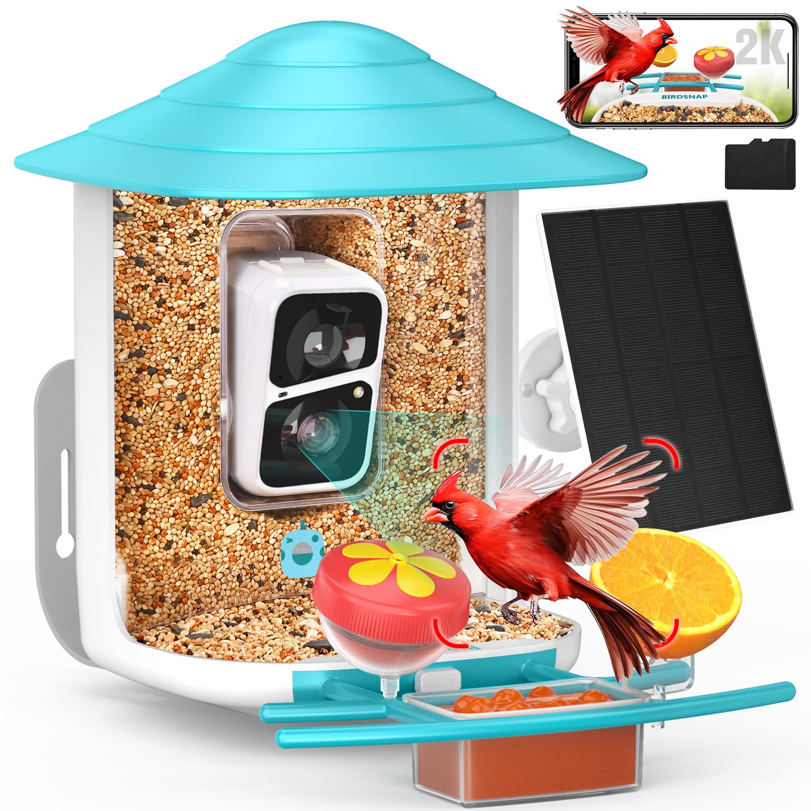 birdsnap® TUC Bird Feeder with Camera 2K HD, Solar Panel 32GB Card 4-in-1 Perch, 160°View Auto Detect & Notify AI Identify Video Bird Camera Wireless Outdoors Ideal Gift for Birds Lover