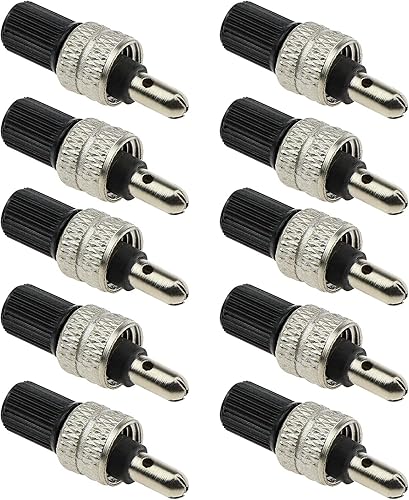 SING F LTD Juego de 10 unidades de núcleo de válvula de bicicleta tipo Alemania, cobre plateado, compatible con neumático de bicicleta holandesa