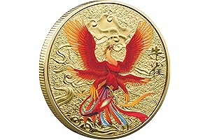 Feng Shui Dragon Coin for Luck and Fortune