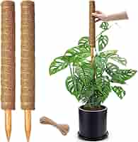 【Fumiti】21-22 MOSS STICK【70 SW Amazon.com : Moss Pole 56 Inch, 4 Pcs Moss Pole Monstera