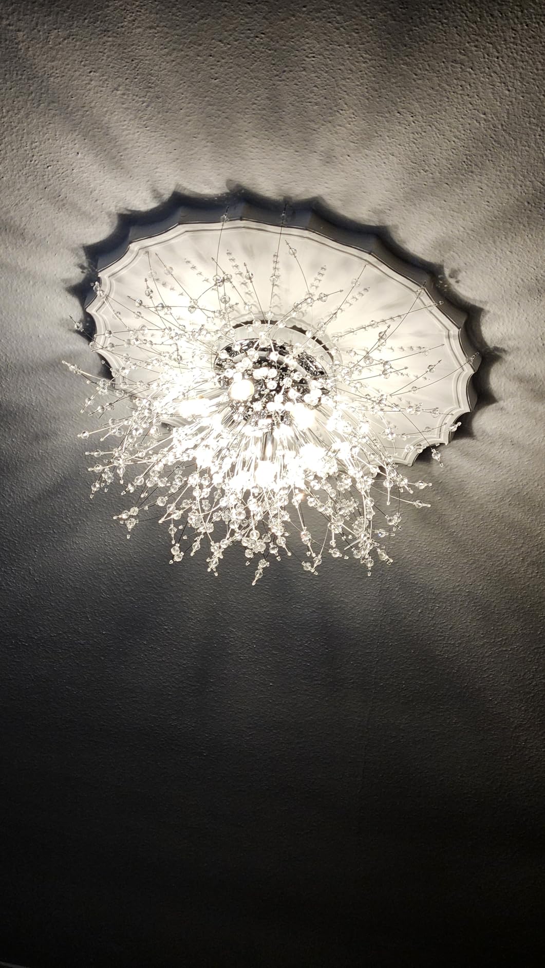Customer photo