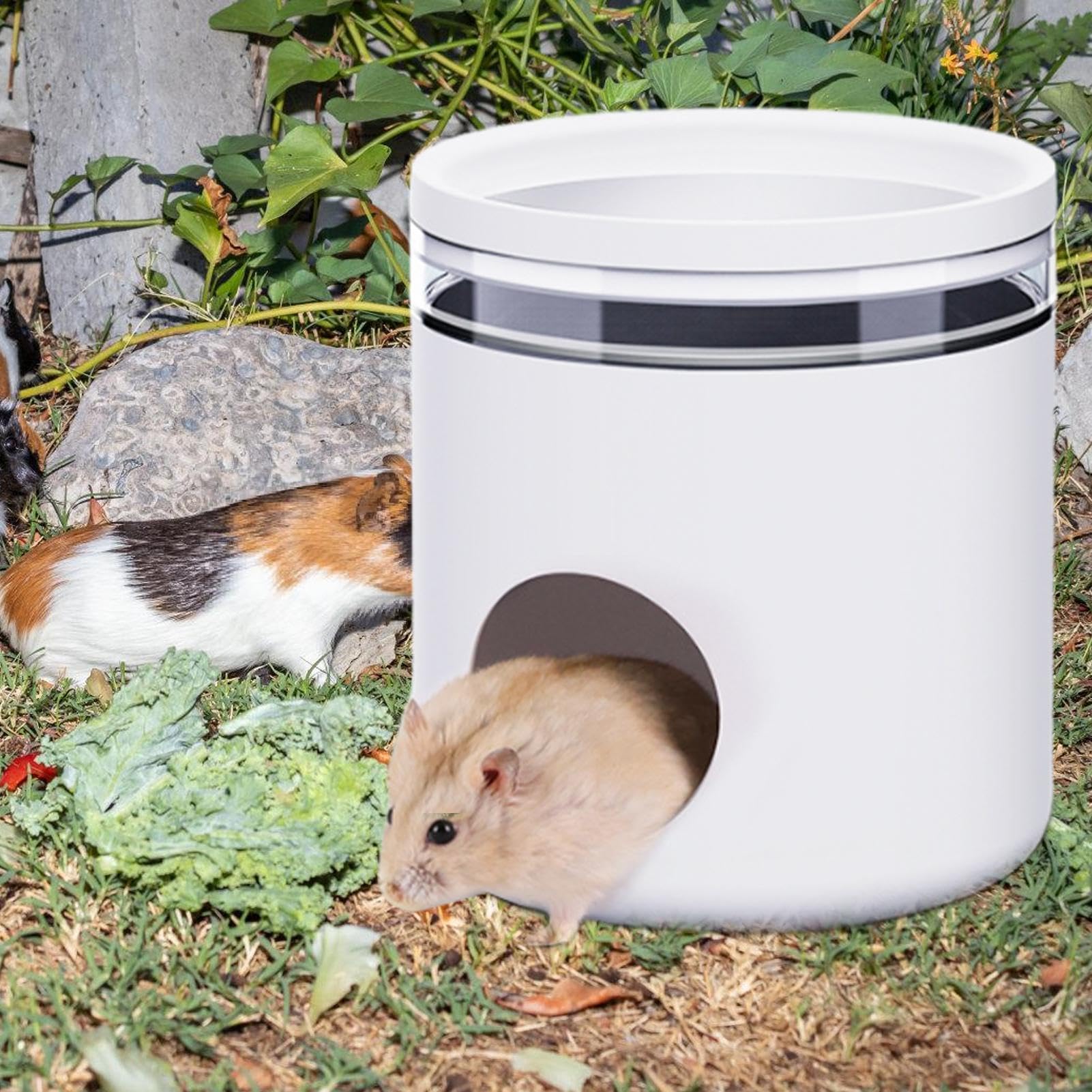 Casetta per criceti e criceti – casa rinfrescante creativa per animali domestici con 2 impacchi di ghiaccio per nascondere dormire giocando habitat