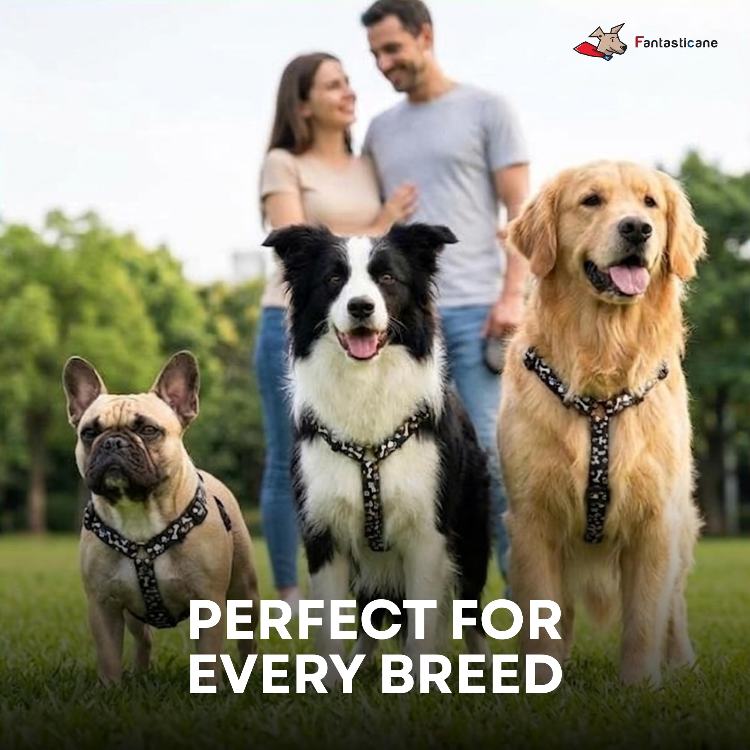 Wonderwalk - Arnés antitirones para perros, arnés ajustable, arnés para perros con anillo lateral, control fácil, apto para perros de talla pequeña, mediana y grande (negro, L)