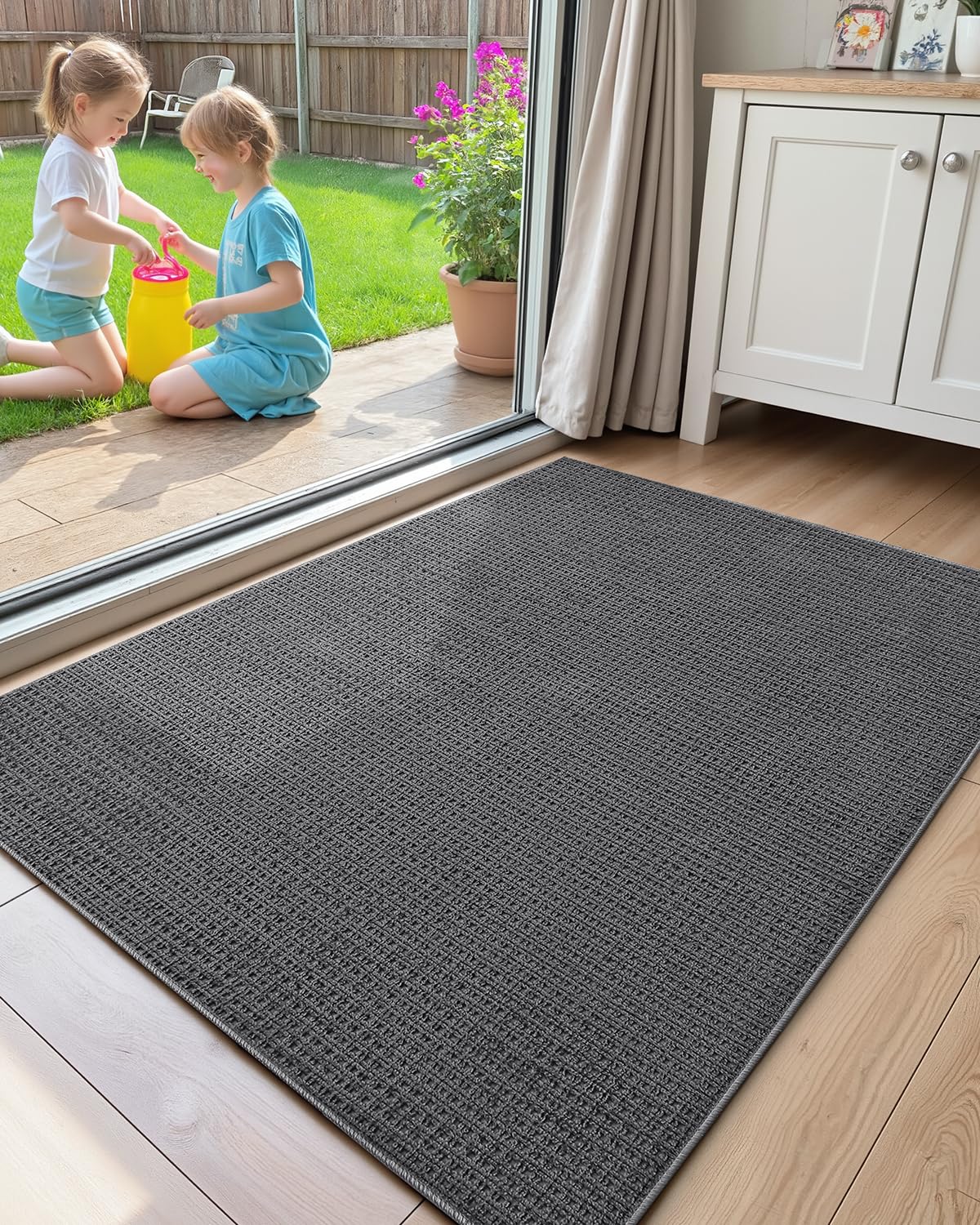 Color&Geometry Front Door Mat Indoor Non Slip Rubber Backing, 32"x48" Ultra Thin Doormat, Soft Absorbent Inside Doormat Washable Easy Clean Rugs for