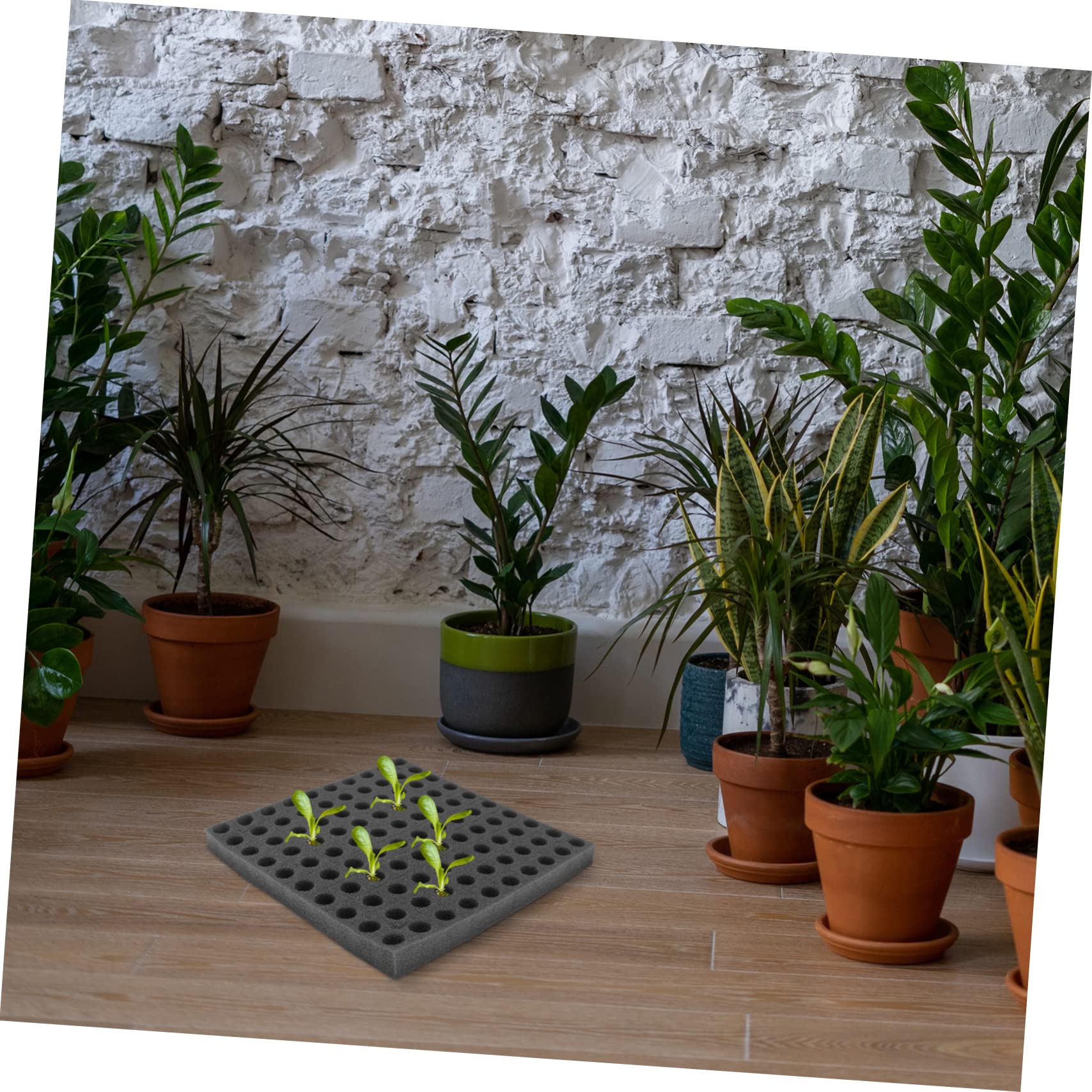 Toddmomy 2 Series Bloque De Esponja para Plántulas Germinación De Plantas De Jardín Bandejas Cubos De Cultivo Iniciador De Plantas Negro Inicio Planta De Semillero Verdura Black 2 Hojas*2