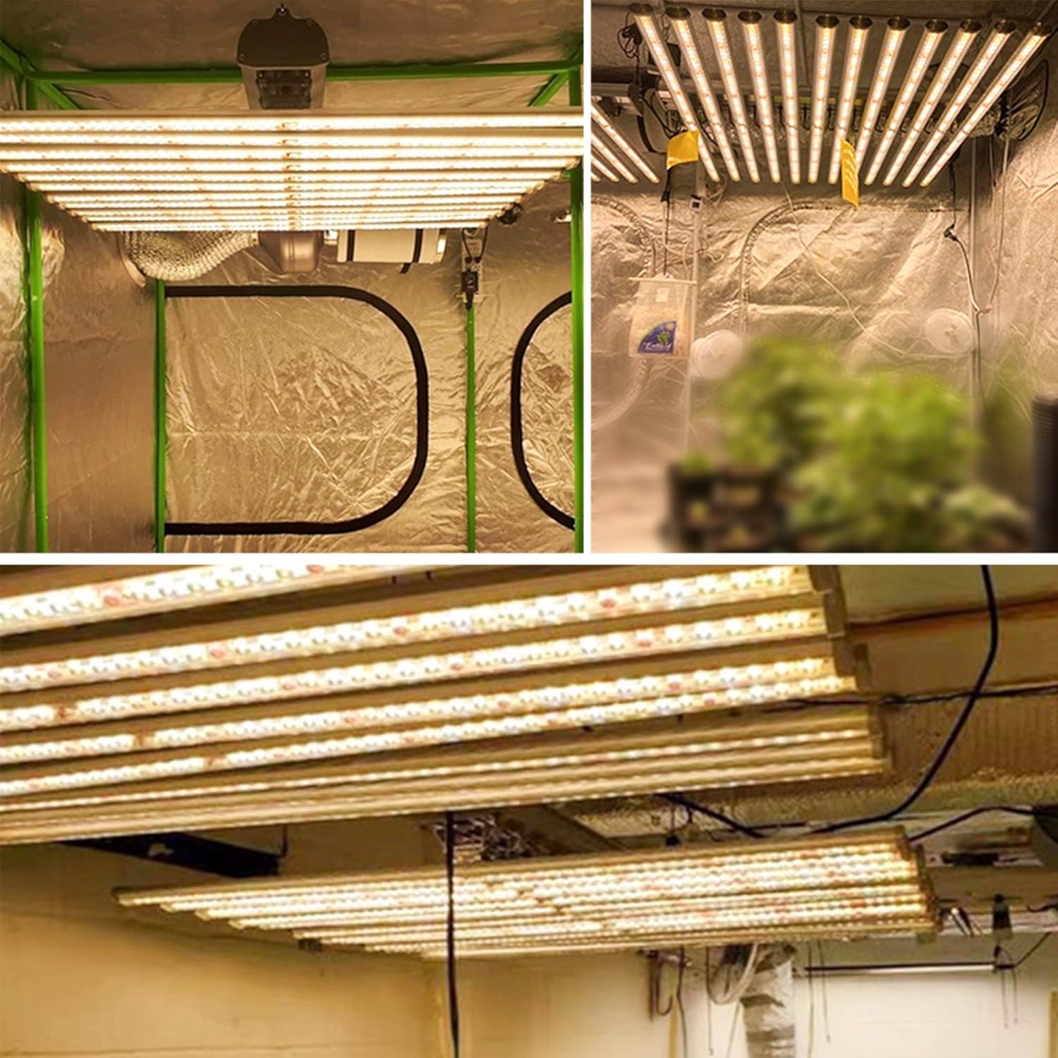 LED Grow Lights for Seed Starting,Actual Power 720W 40x40 Inches Best Full Spectrum Professional Grow Lights for Hydroponic, Greenhouse, Grow Tent, Veg&Flower Commercial