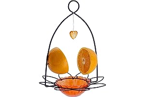 FORUP Oriole Bird Feeder: The Perfect Feast for Your Feathered Friends