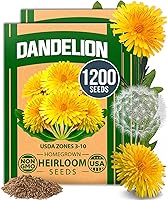 Vista 140 de HOME GROWN Semillas de eneldo sin OMG para plantar 1,014 ramos de semillas de eneldo y semillas de hierbas tradicionales para plantar al aire libre