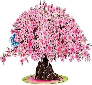 Amazon.com: Paper Love: Mother's Day