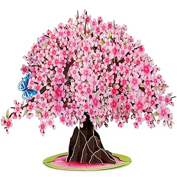 Amazon.com : Paper Love 3D Cherry Blossom Tree Pop Up Card