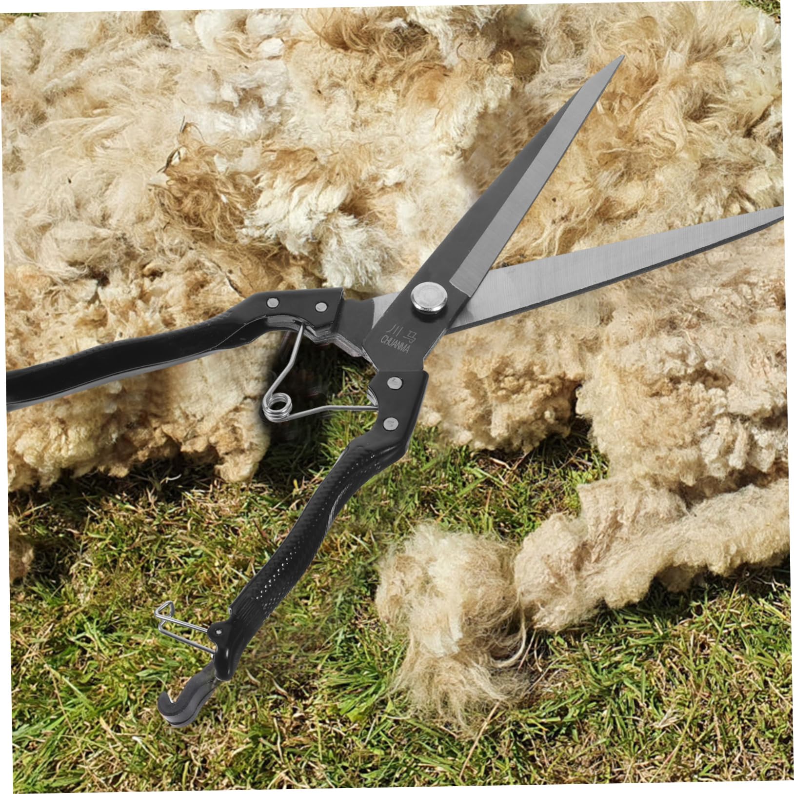TOYANDONA 1 Set per Tosatura Animali Carbonio Strumento Manuale per Tosare e Bestiame per Operazioni Agricole e Toelettatura Professionale