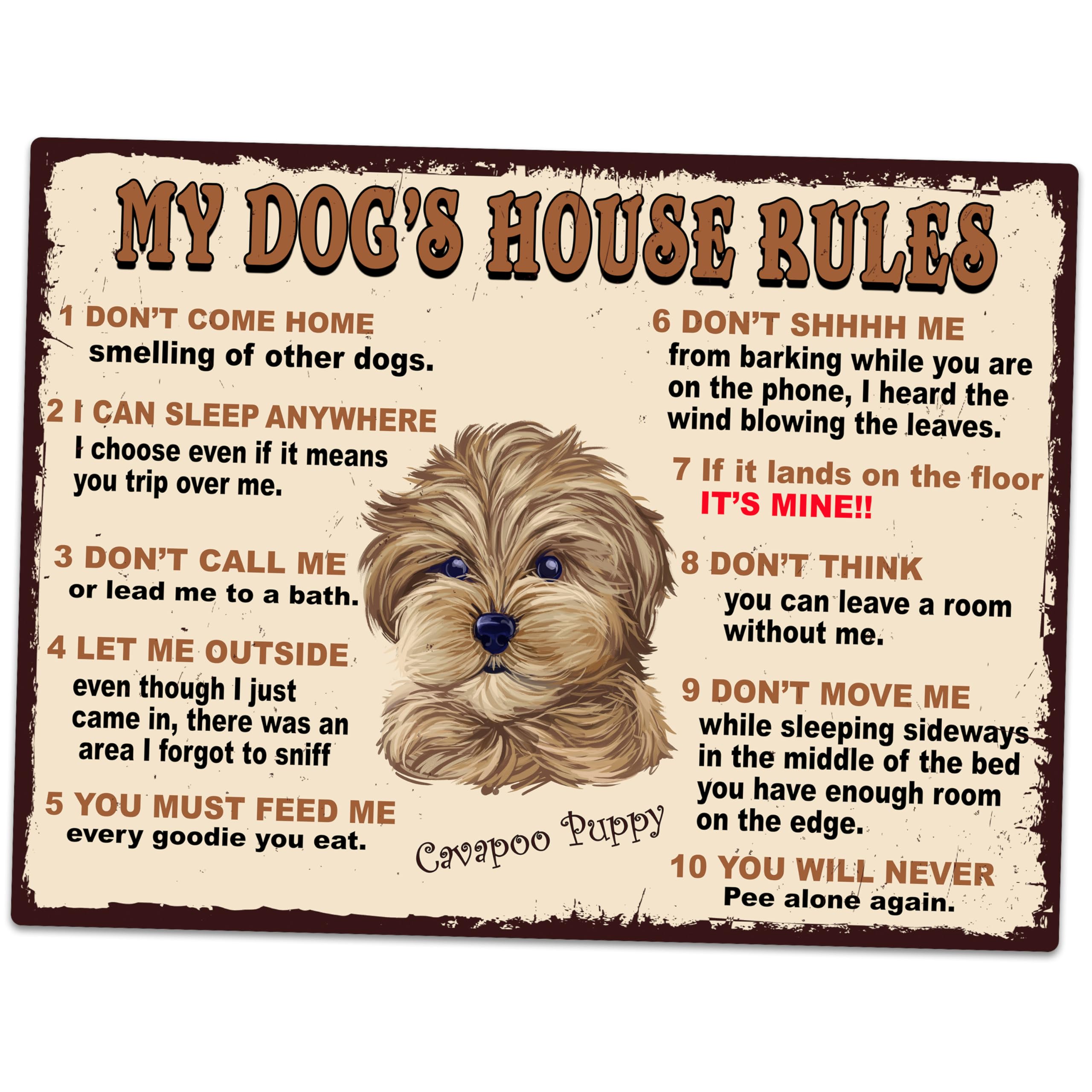 MY DOG'S HOUSE RULES CAVAPOO PUPPY THEME METAL RETRO STYLE PLAQUE/SIGN HOME DECOR SHABBY CHIC ART (8" X 6")