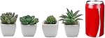 Miniature Mixed Artificial Succulent Plants in Square White Ceramic Planter Pots, Set of 4