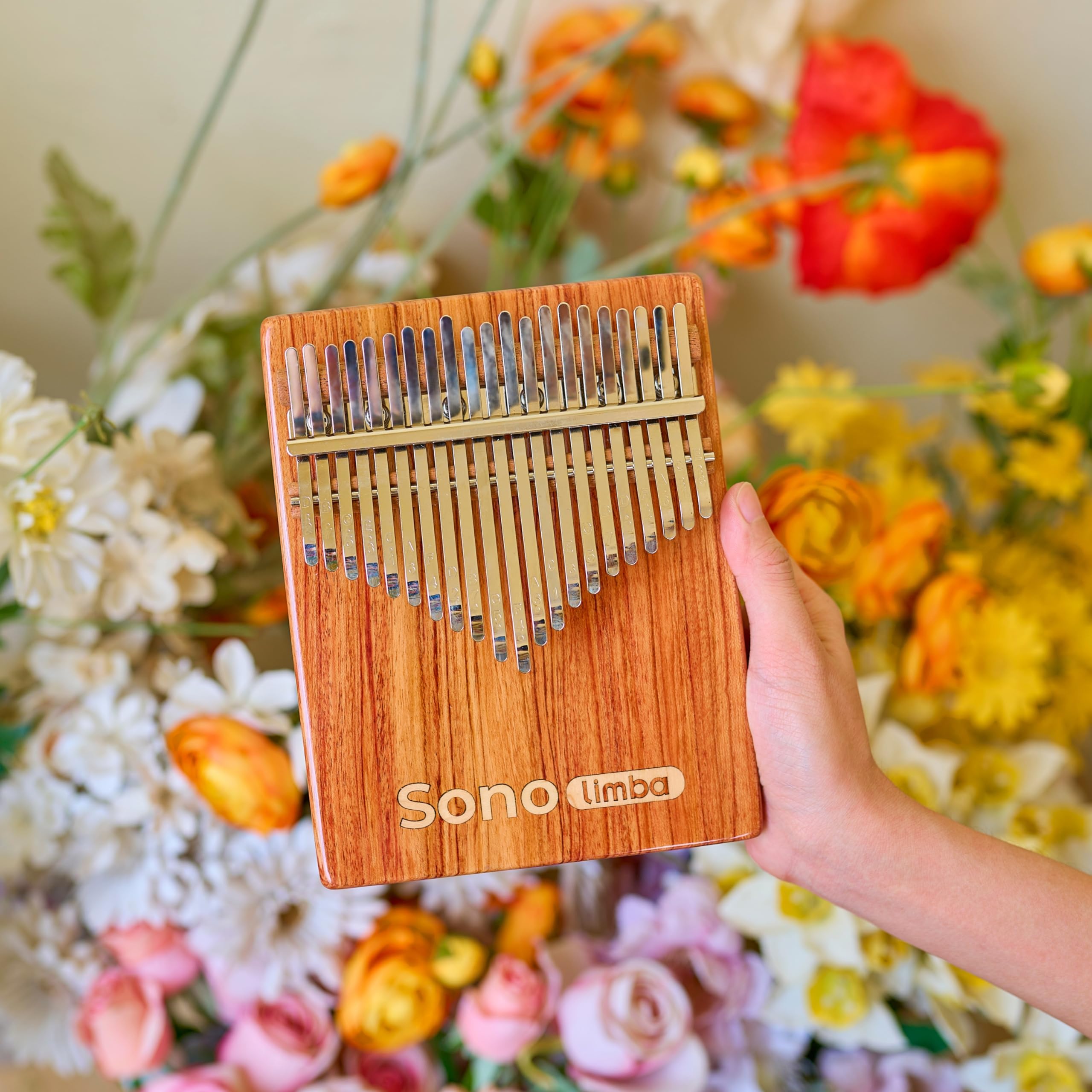 Kalimba – incluso libro di canzoni gratuito + custodia protettiva – pianoforte per pollice/pianoforte a dito/Marimba – C-Dur – facile da suonare – adatto per tutte le età (21 tasti)