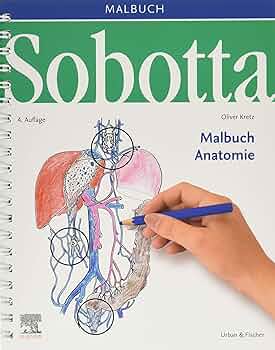 健康・医学 Sobotta Malbuch Anatomie 816ML0g1ooL._UF350,350_QL50_.jpg