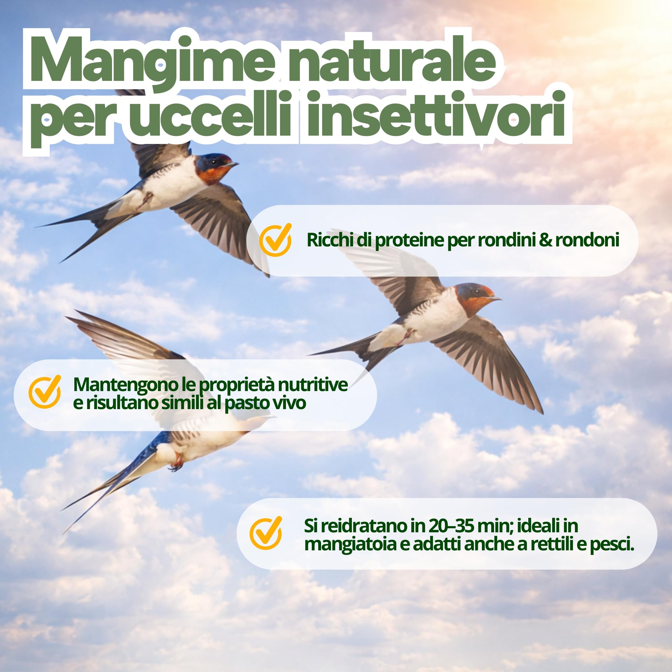 Grilli Liofilizzati 500ml Mangime Uccelli Selvatici Rondini, Rondoni, Balestrucci e Altri Uccelli Insettivori Ideale anche per Geco, Camaleonte, Tartarughe e Pesci Grilli per Rondini Cibo Alta Qualità
