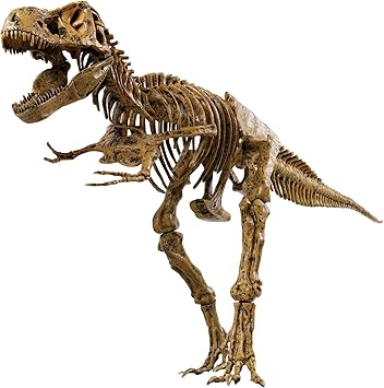 Amazon Edu Toys エデュトイ 恐竜工作 キット 51ピース ティラノサウルス Vt026 ジグソーパズル おもちゃ Amazon Edu Toys エデュトイ 恐竜工作 キット 51ピース ティラノサウルス Vt026 ジグソーパズル おもちゃ