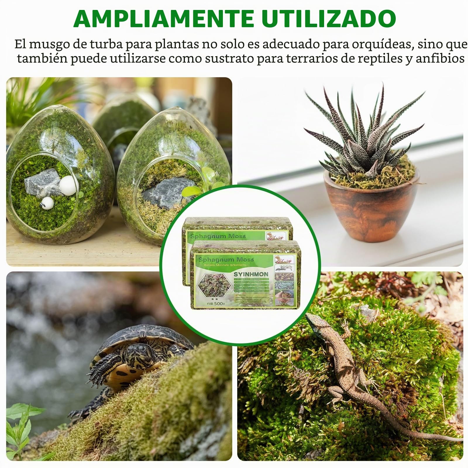 2 x 500 g de musgo sphagnum para plantas, nutrición de turba orgánica, sphagnum comprimido, musgo de fibra larga, para jardinería y terrarios, orquídeas, enraizamiento de esquejes