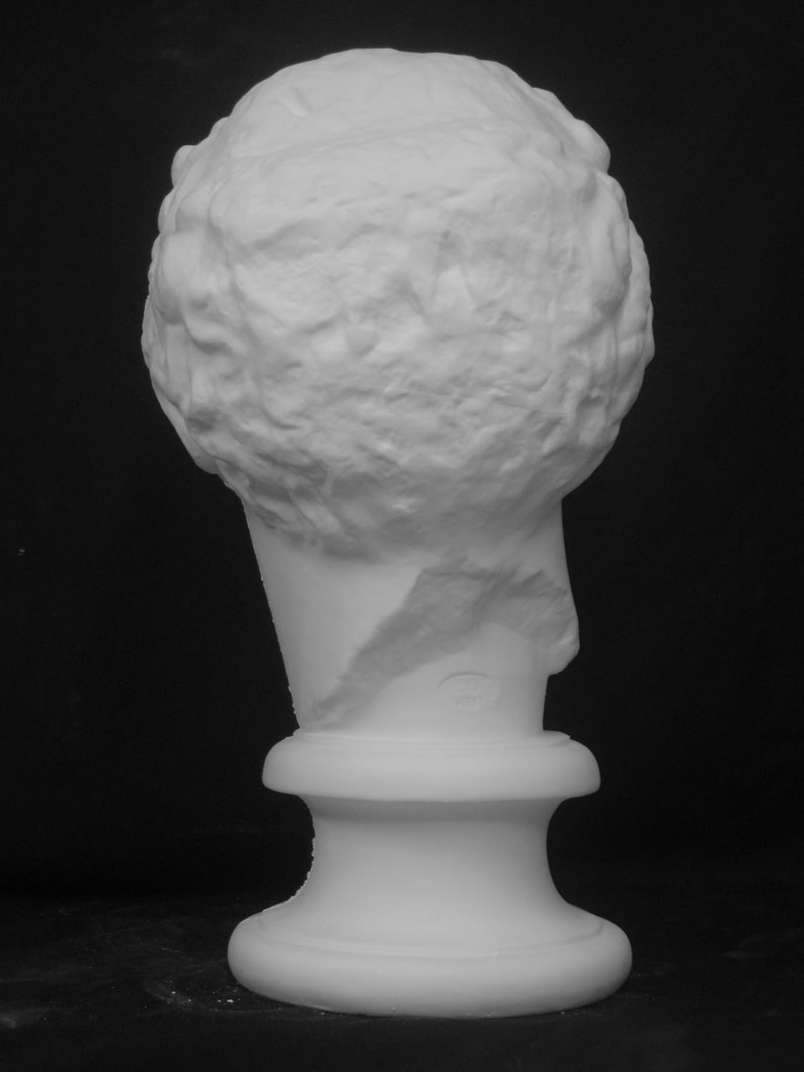 石膏像 S－202 パルテノン首像（ラボルト） H．55cm 石膏