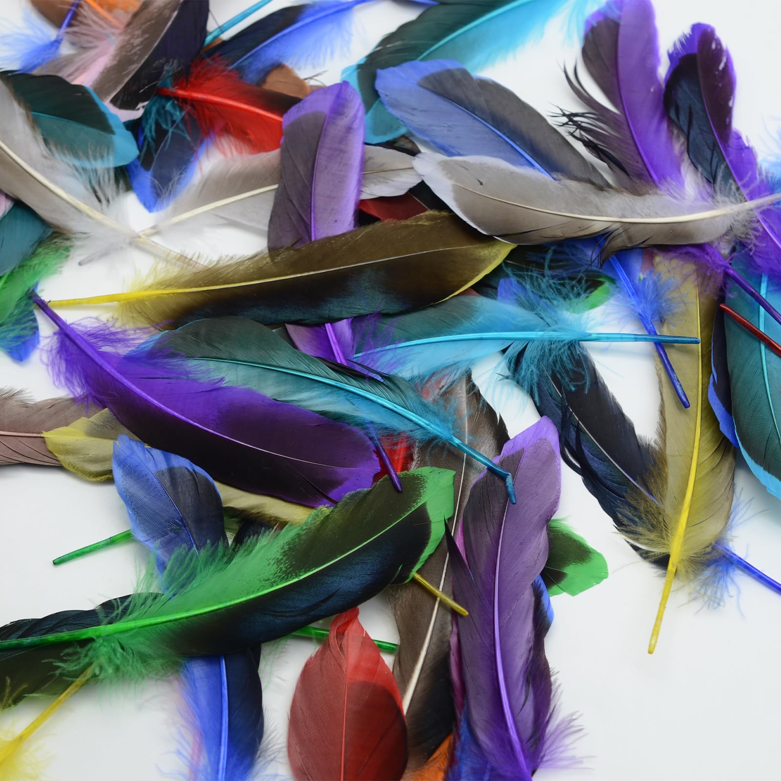 MHYMX Plumes Loisirs Creatifs, 100 Pièces Plumes Colorées