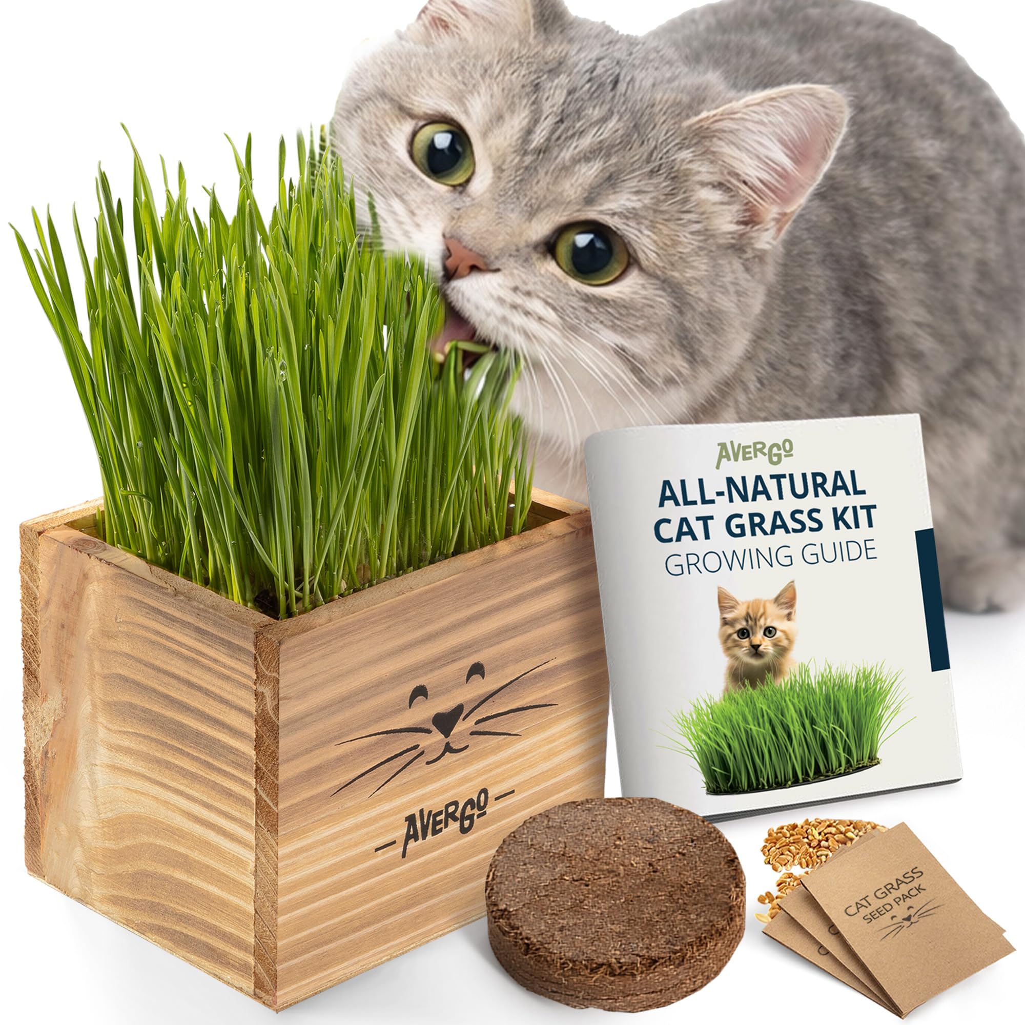 Cat Grass Kit for Indoor Cats – x2 Seed Packets | Cat Grass Seeds with Wooden Planter & Soil – Pet Wheatgrass Grass