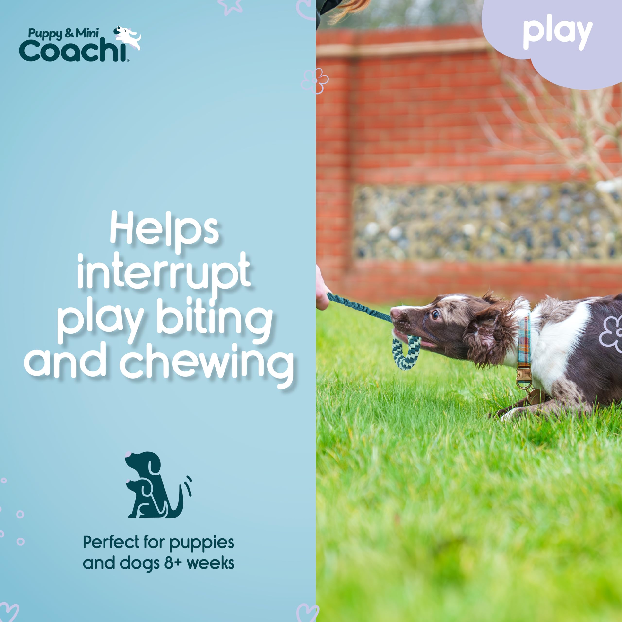Coachi Puppy & Mini Tuggi Helix, Lightweight, Tough Dog Toy, Safe & Fun, Stretchy Bungee Handle, Reward Training, Recall - Image 3