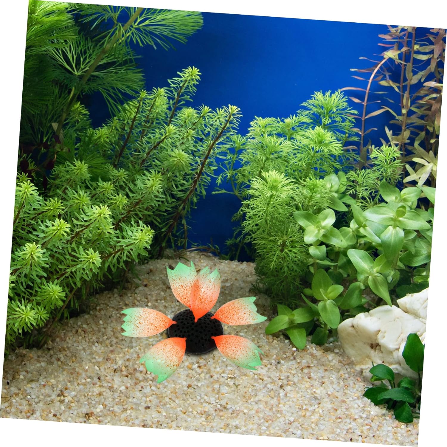5pcs Fish Tank Landscaping Ornaments Artificial Plants Decor Glowing Aquarium Ornaments Fish Tank Coral Glowing Aquatic Plant Adornment Artificial Coral Fish T