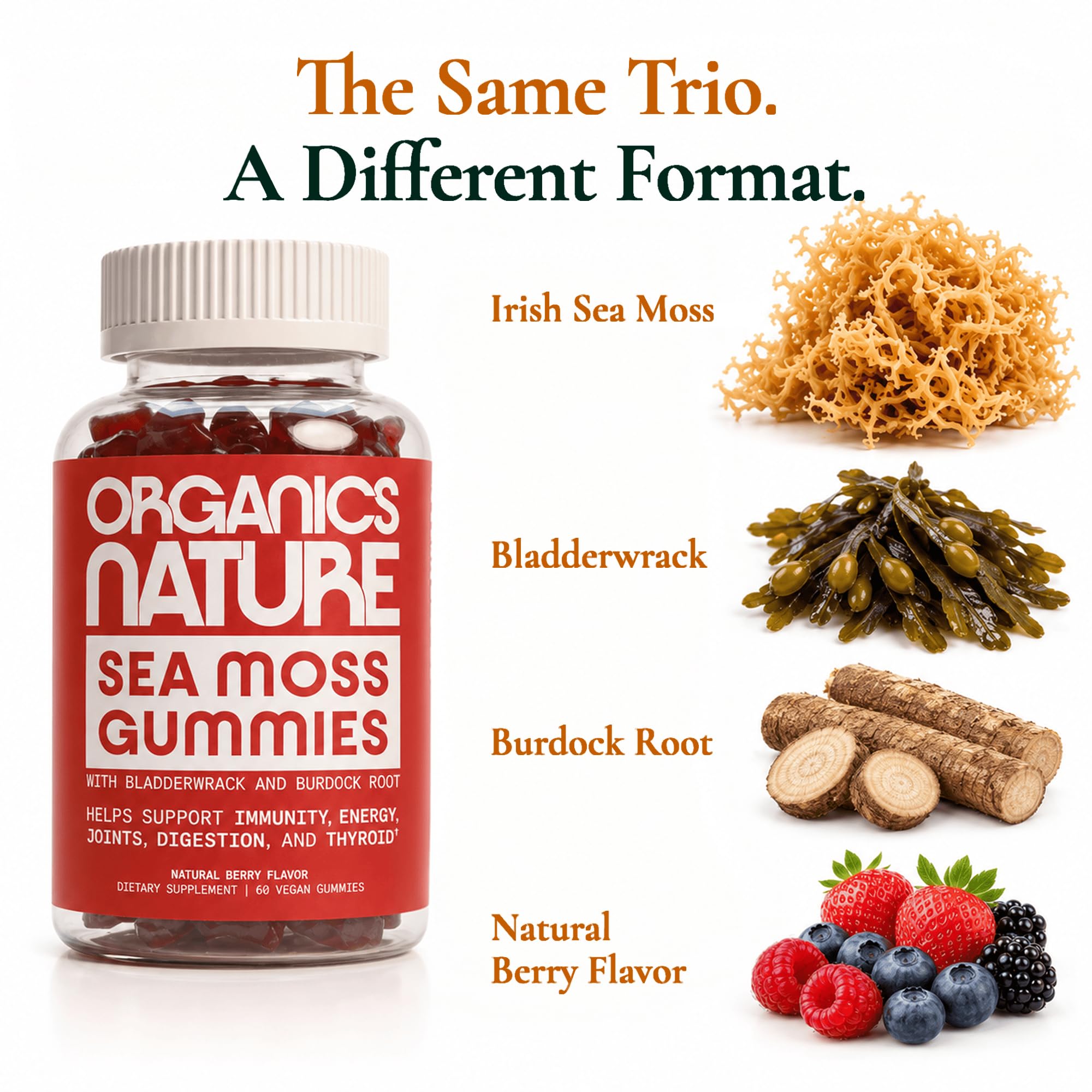 ORGANICS NATURE Irish Sea Moss Gummies, Bladderwrack Burdock Root, 60 Ct — Amazon image 3