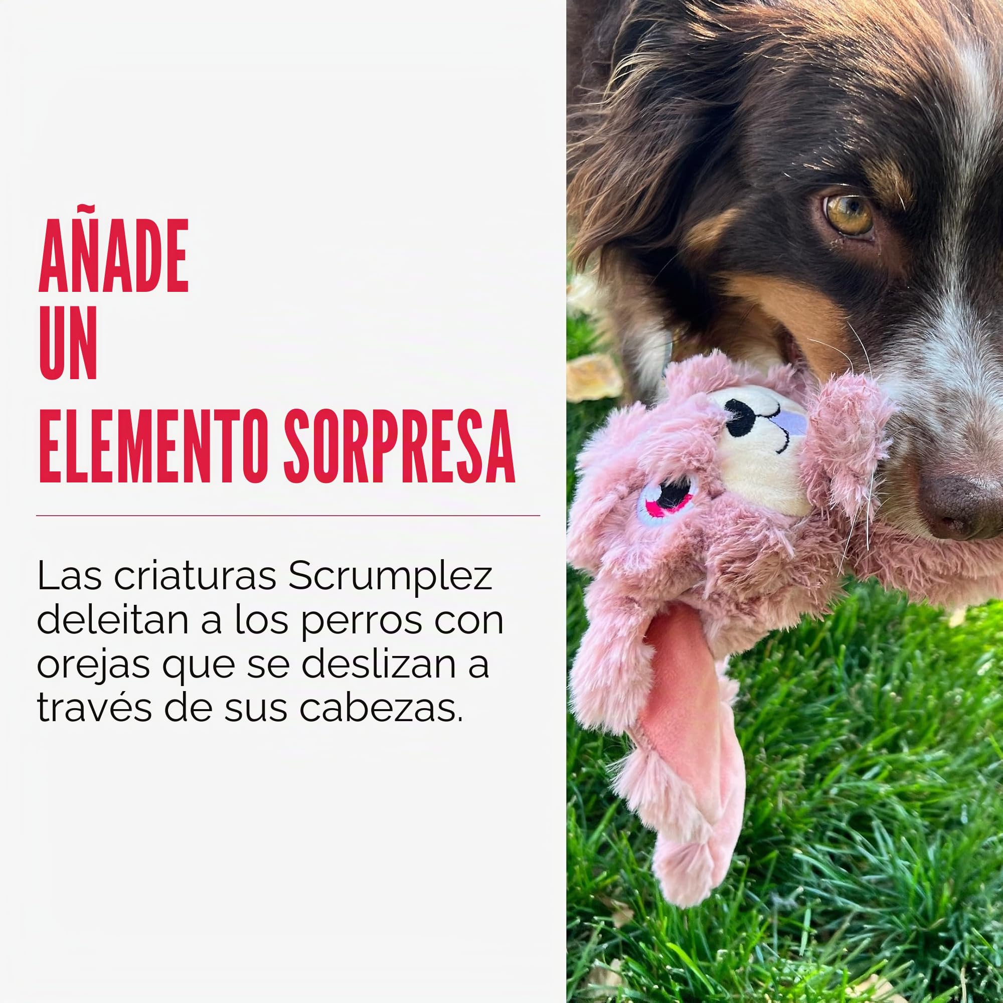 KONG Scrumplez - Juguete chirriante de felpa suave para juegos interactivos, relleno de diversión extra chirriante, duradero y atractivo para perros (conejo rosa)