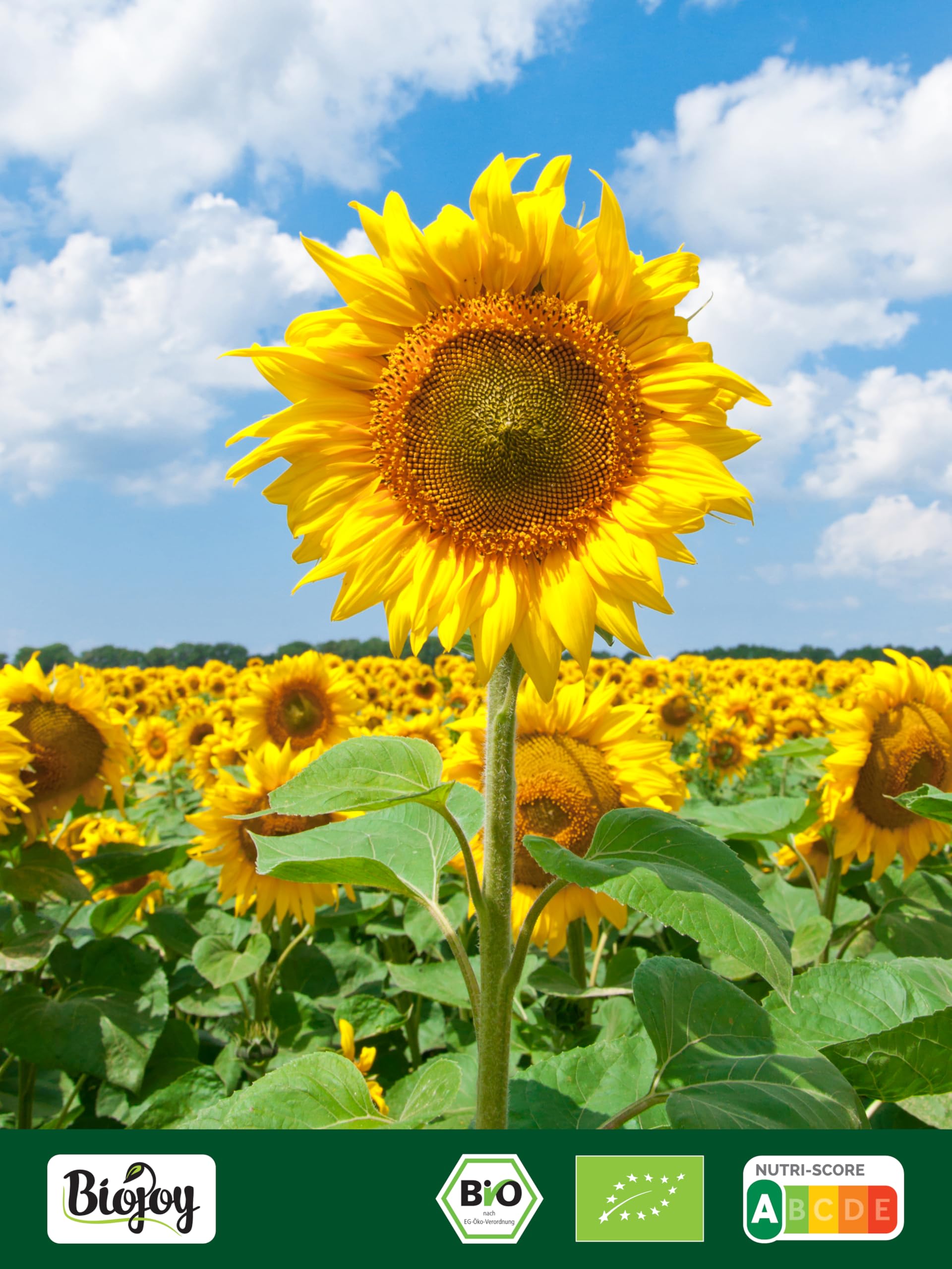 Biojoy Harina de Semillas de Girasol BÍO (1 kg), puro y natural, sin aditivos