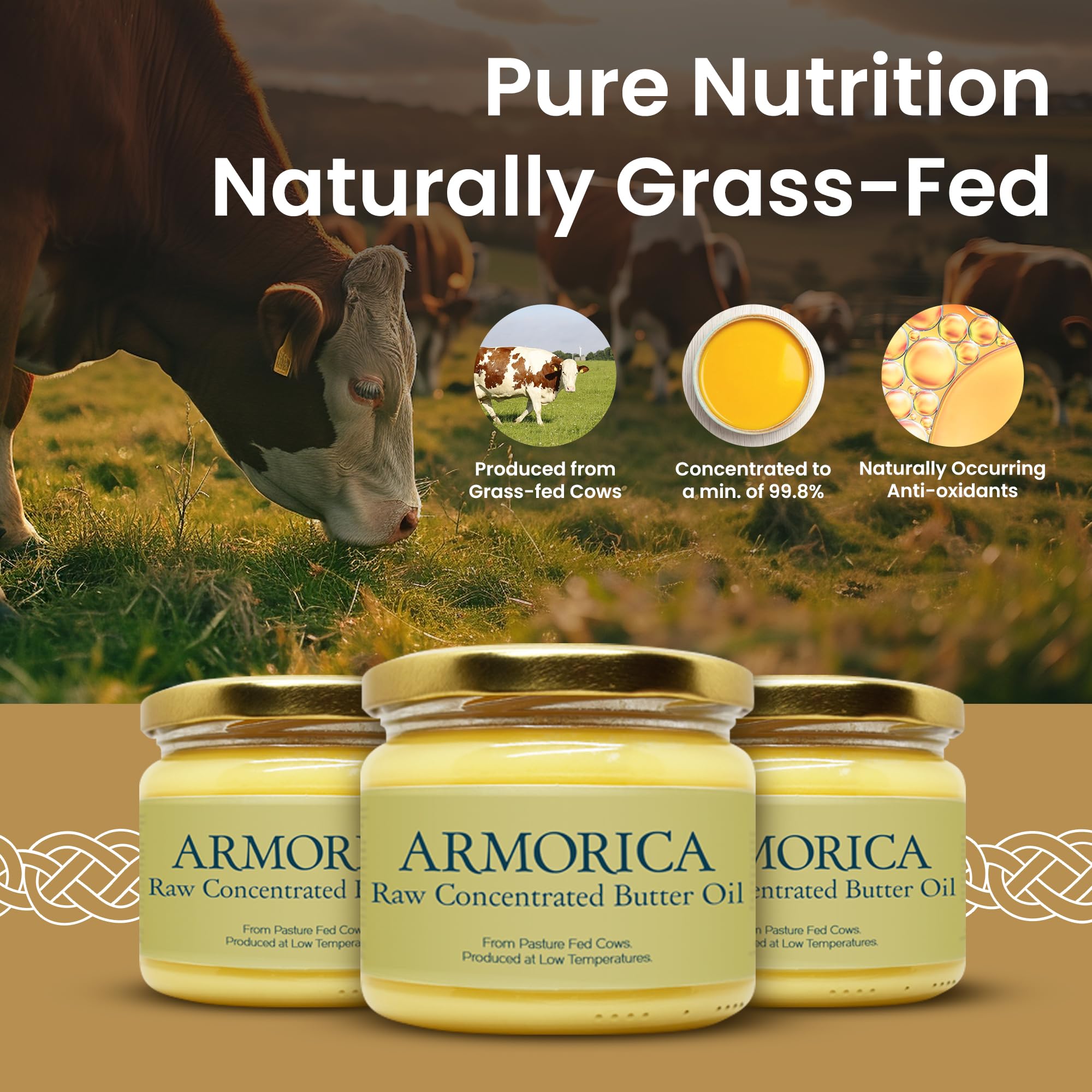 ARMORICA Aceite de mantequilla concentrado 230 g Hecho de leche de vaca alimentada con pasto Fuente de vitaminas solubles en grasa Rico en grasas saludables