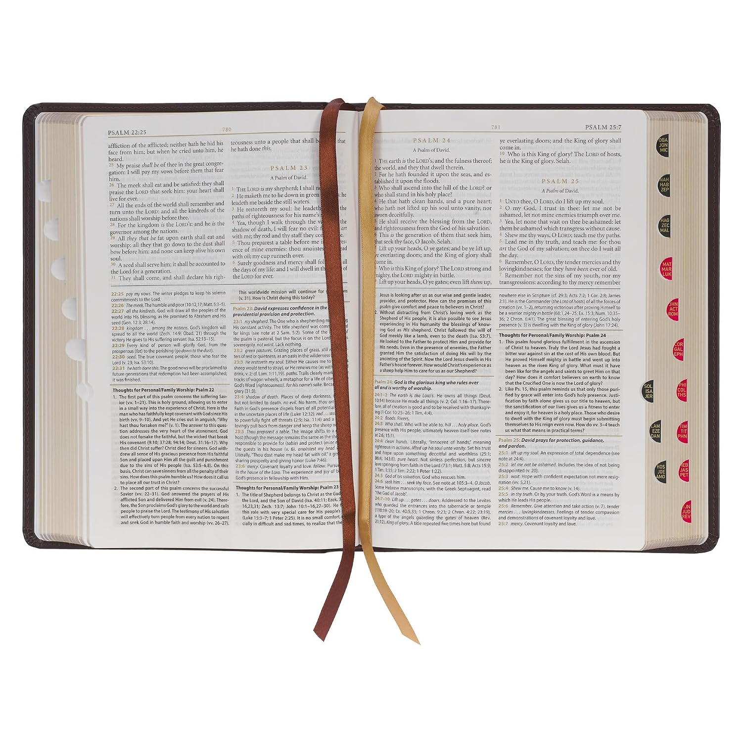 KJV Study Bible, Standard King James Version Holy Bible, Burgundy Leather (KJV Standard Study Editions)