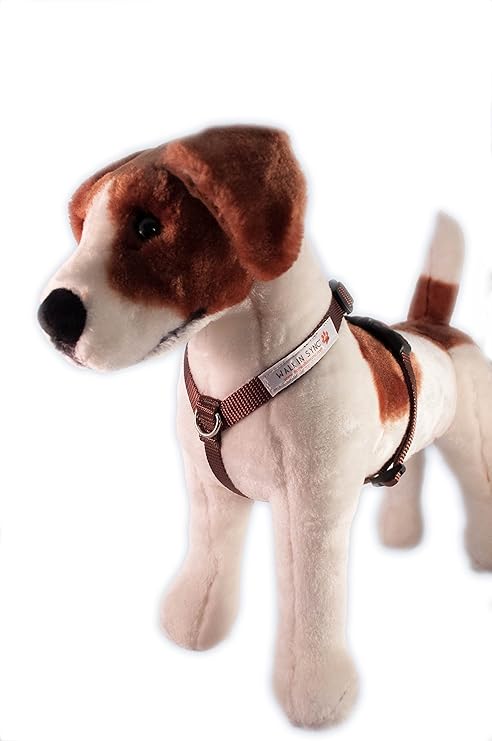 walk in sync harness
