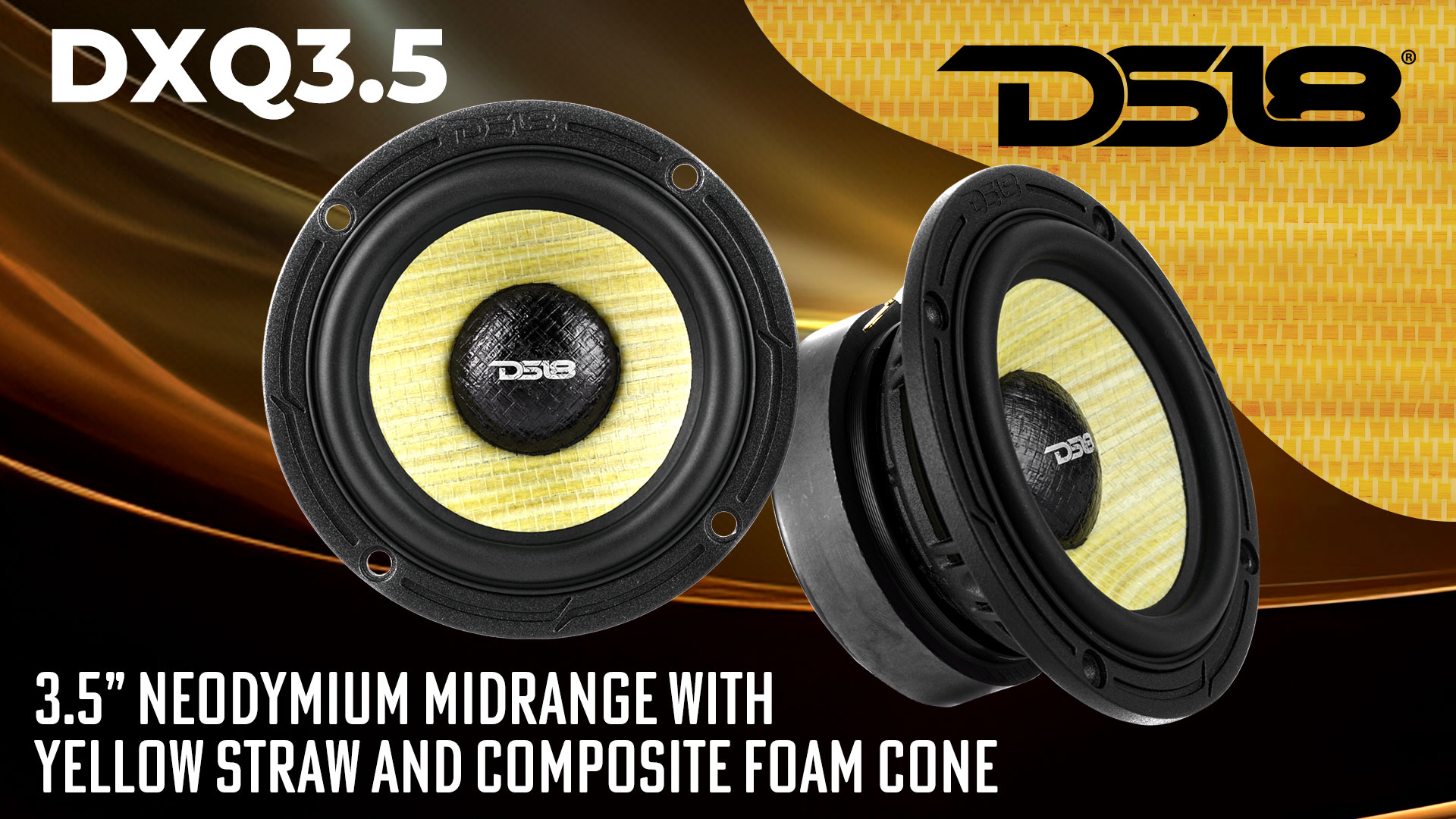 Amazon.com: DS18 DXQ3.5 3.5