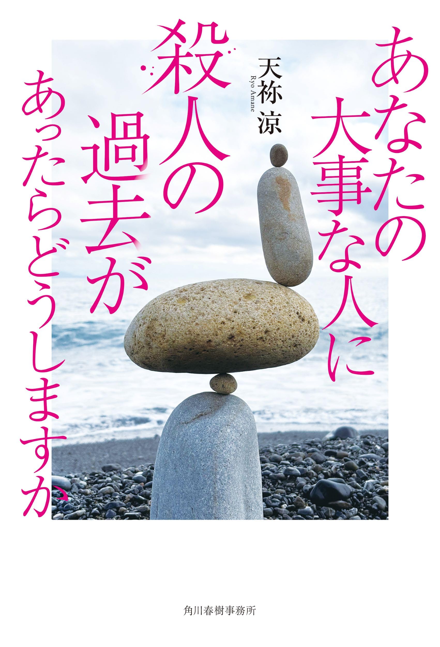 あなたの大事な人に殺人の過去があったらどうしますか | 天祢 涼 |本
