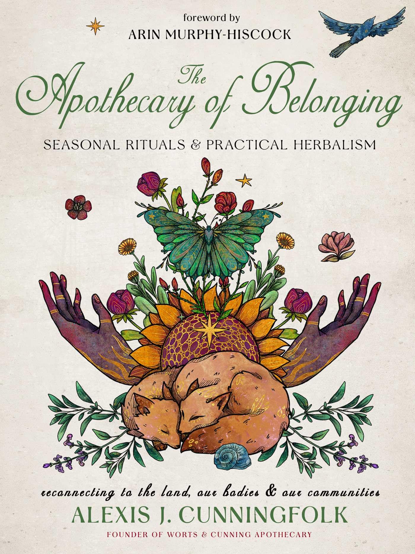 The Apothecary of Belonging: Seasonal Rituals and Practical Herbalism: Volume 26