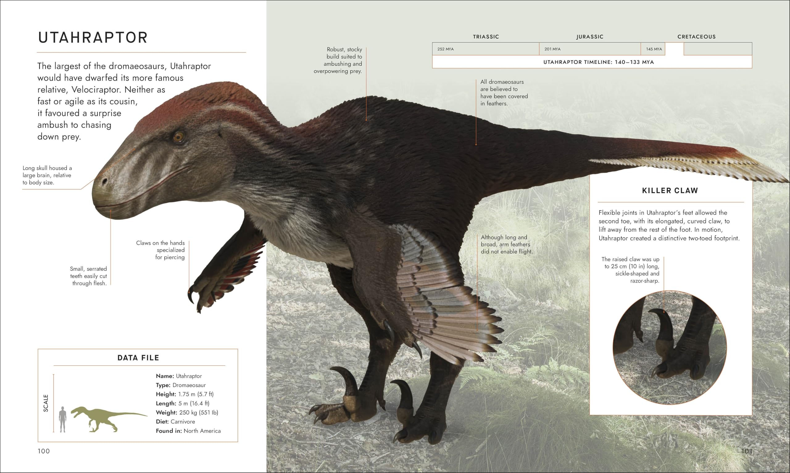 BBC Walking With Dinosaurs: Uncovering the Secret Stories of Prehistoric Life