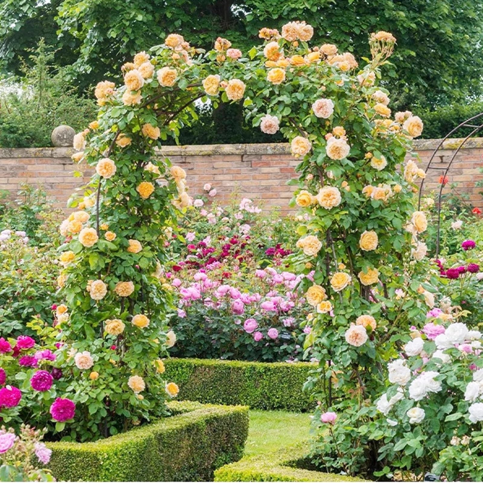 Arco da Giardino Supporto per Piante Facile da Montare, Tre Stili, Acciaio Galvanizzato, Arco da Giardino per Piante Rampicanti e Rose (Color : Planting box, Size : 13mm tube)