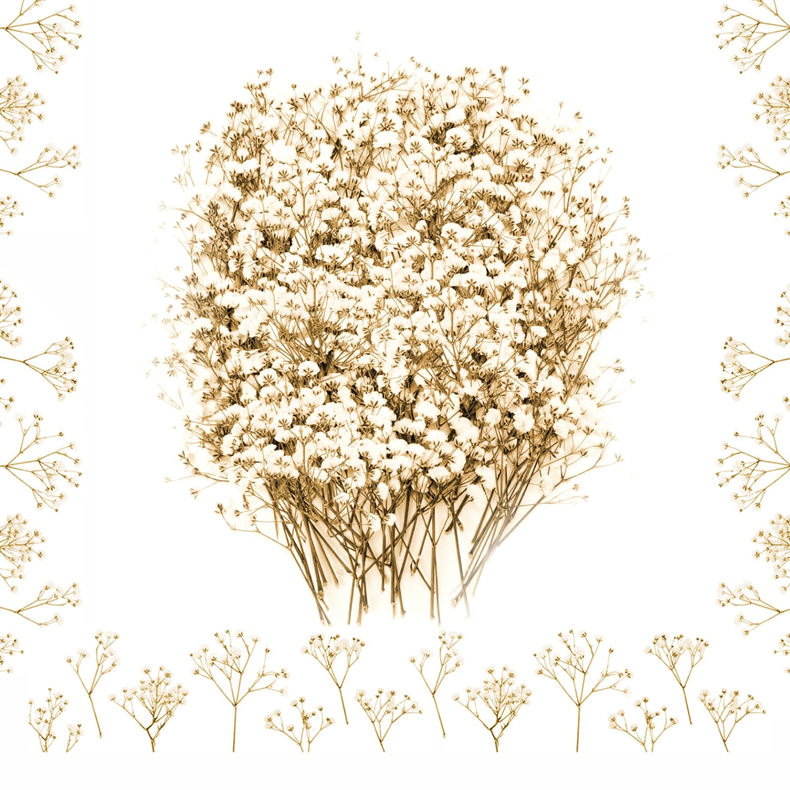 100PCS Dried Pressed Flowers, Natural Dried Gypsophila Mini Breath Flowers for Diy Crafts Candle Resin Jewelry, Nail Art