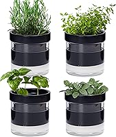 Vista 26 de Phoenix Vine Maceta de riego automático de 4 pulgadas, maceta de arcilla de terracota con depósito de vidrio para plantas de interior, hierbas