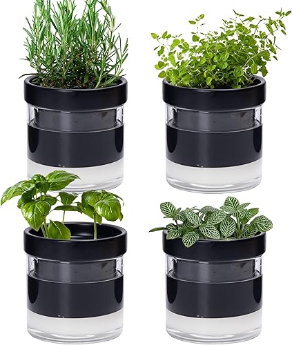 Vista 26 de Phoenix Vine Maceta de riego automático de 4 pulgadas, maceta de arcilla de terracota con depósito de vidrio para plantas de interior, hierbas