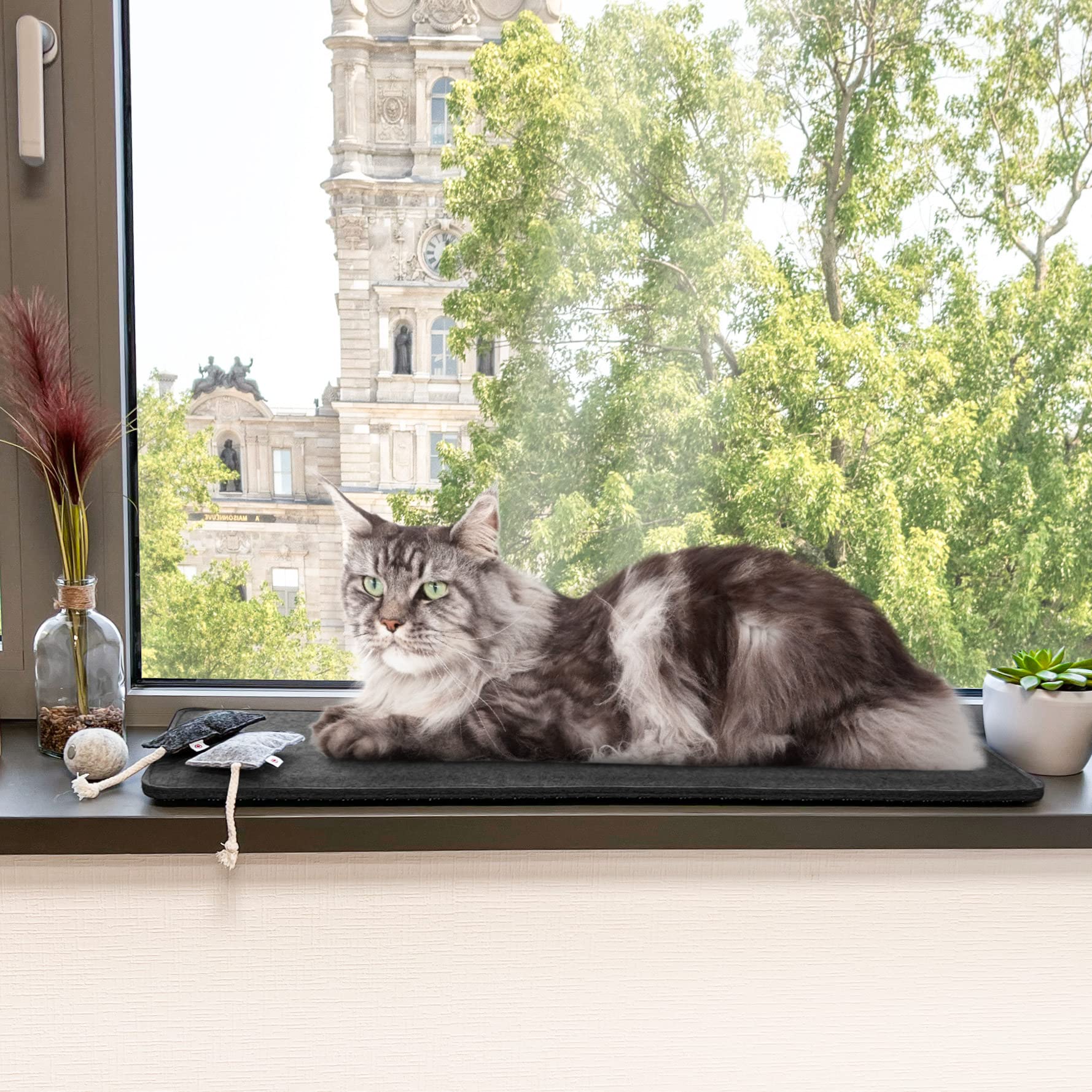 CanadianCat Company | Filzmatte für Fensterbänke, gepolsterte Fensterbankauflage | dunkelgrau | S - ca. 60 x 26 cm