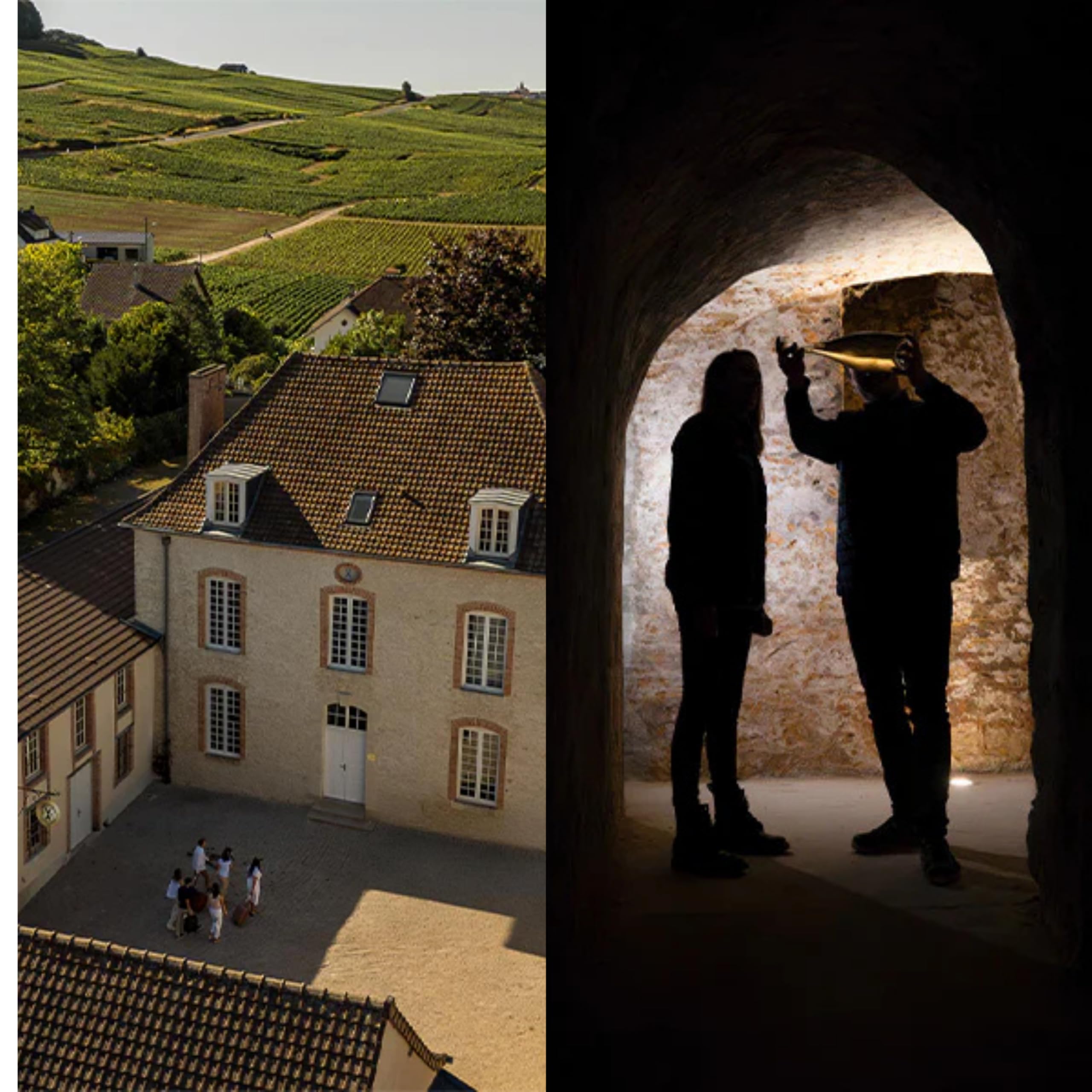 Francia - Avize CHAMPAGNE FREREJEAN FRERES EXTRA BRUT PREMIER CRU | 12% | 750 ml CHARDONNAY E PINOT NOIR BIANCO SPUMANTE BOLLICINA