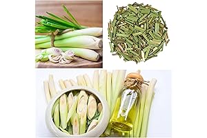 Lemongrass Plant Seed for Planting
