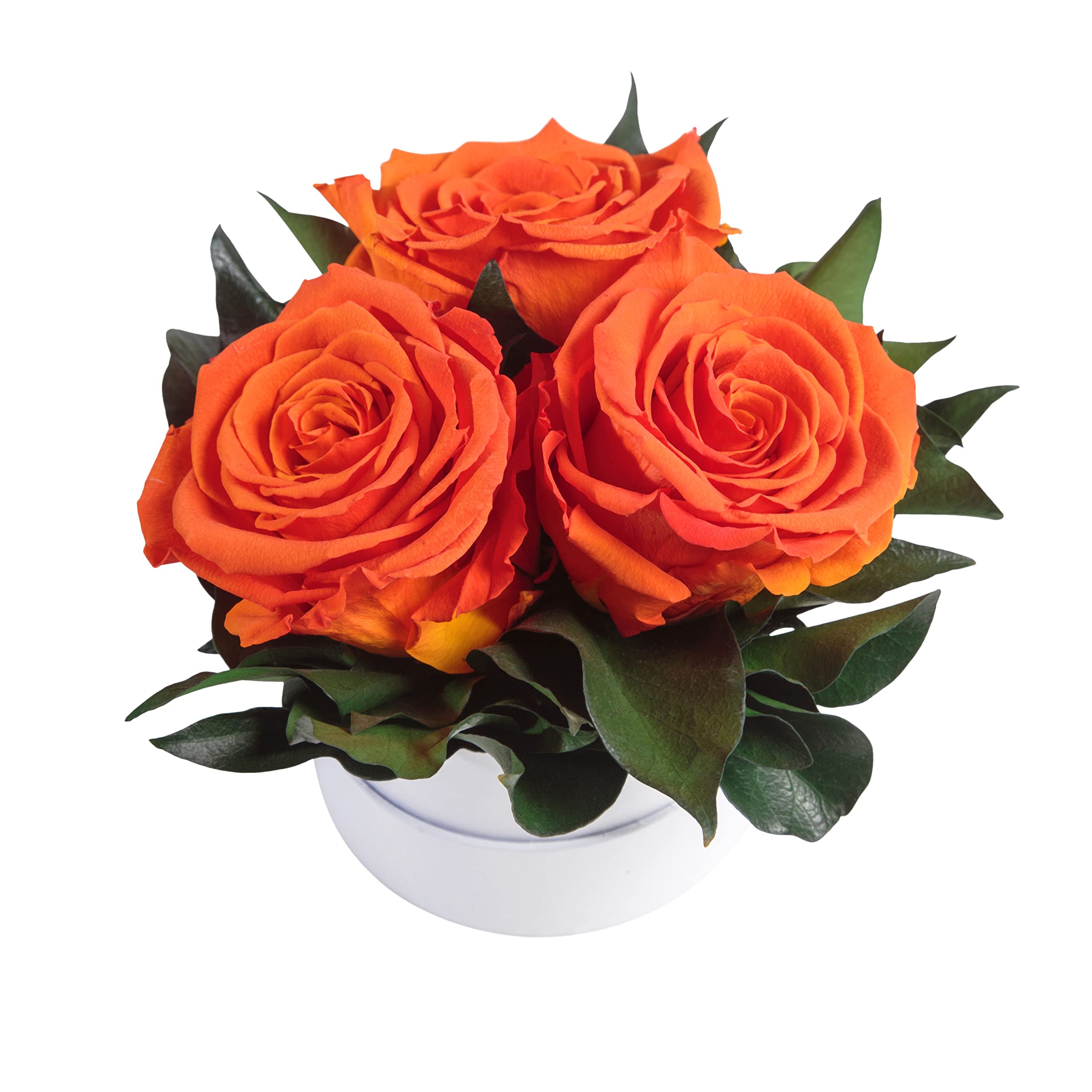 Infinity Rosenbox weiß rund konservierte Blumen Orange - 3 Infinity Rosen Durchmesser 15 cm - Lieblingsmensch Geschenk (Orange, Medium)